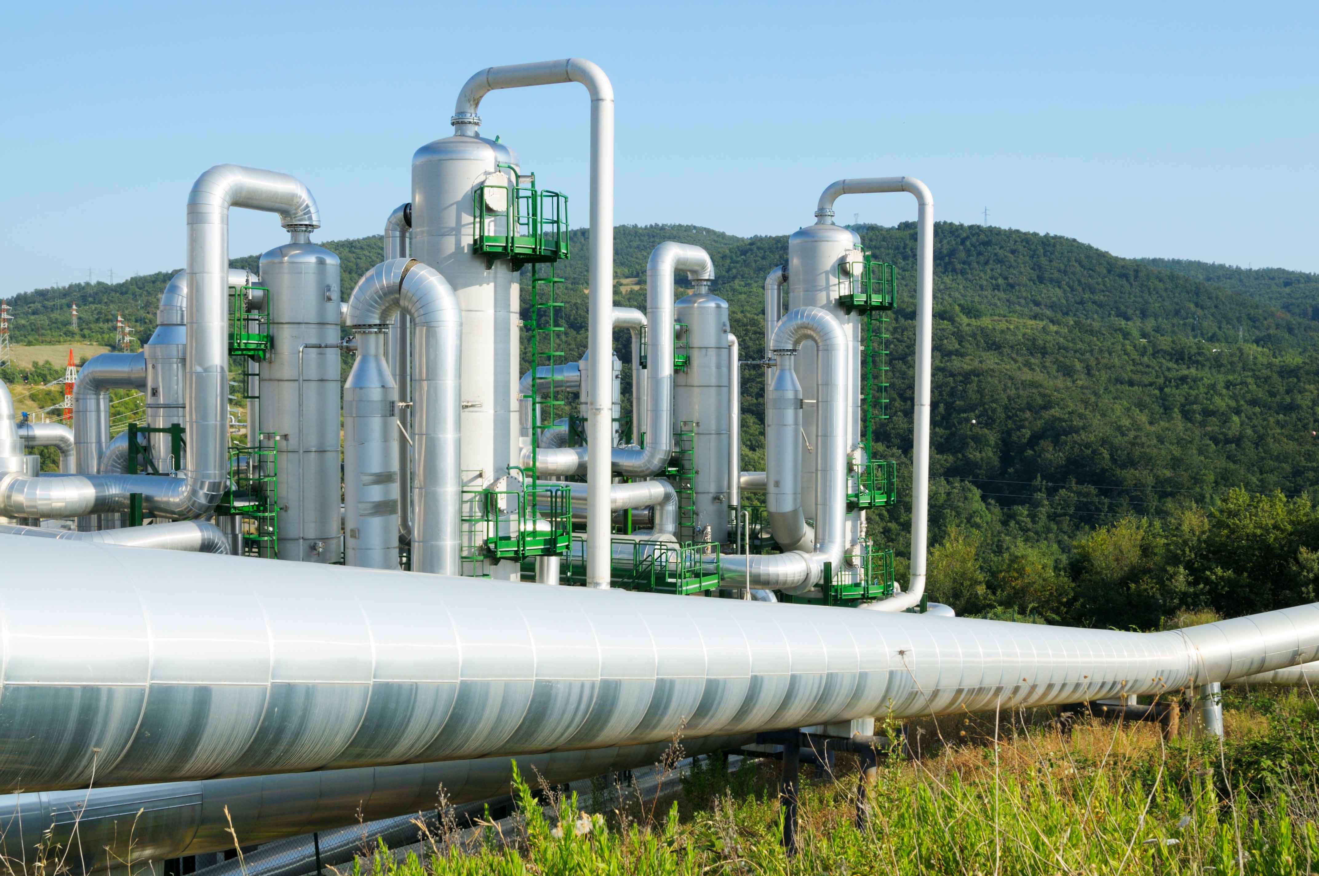 2ⁿᵈ Biogas producer in Europe